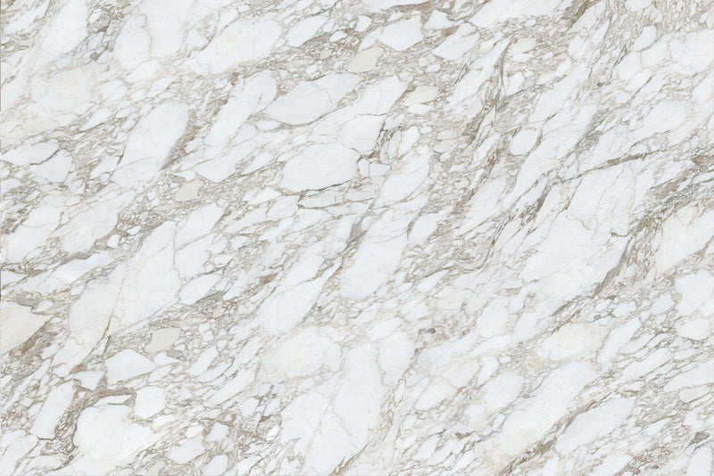 Arabescato Lucent Porcelain slab