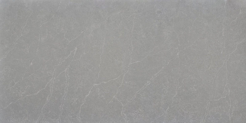 Fossil Grey Pure Lucent Quartz slab