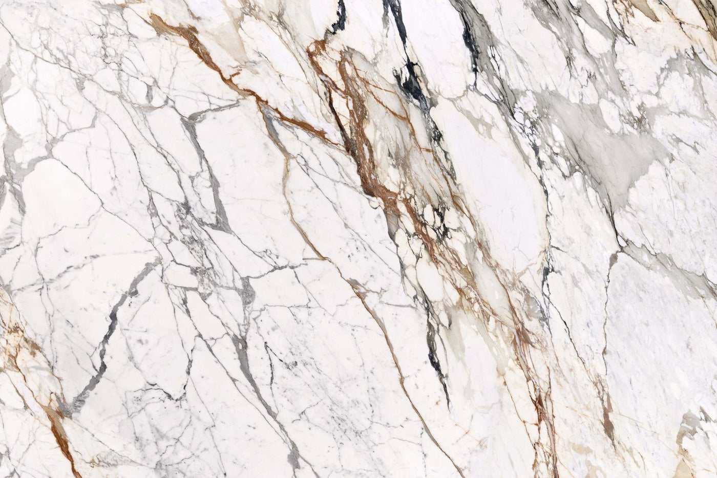 Paonazzo Lucent Porcelain slab