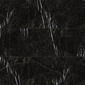 Regallo Marquina Noir Porcelain Tile - image 1