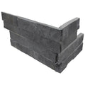 Premium Black Ledger Panel - image 2