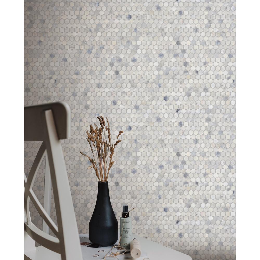Santorini White 1" Penny Round Honed Marble Mosaic - image 2