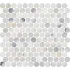 Santorini White 1" Penny Round Honed Marble Mosaic - image 4
