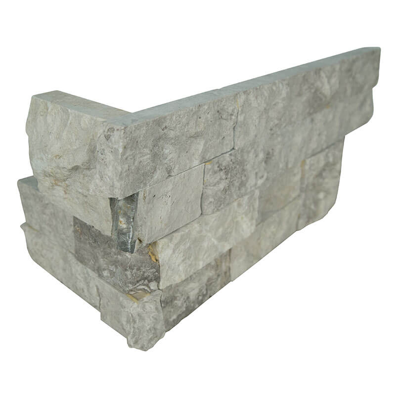 Silver Canyon Ledger Panel