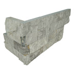 Silver Canyon Ledger Panel