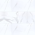 Eden Statuary Porcelain Tile - image 1