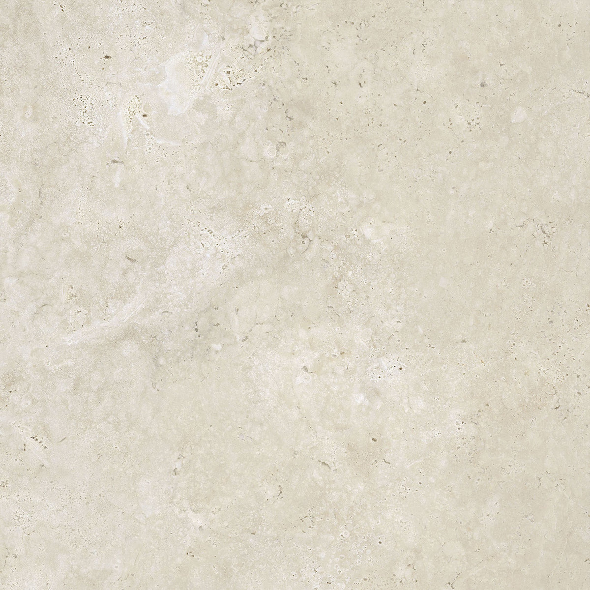 Trevistone Ivory Matte Porcelain Tile