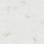 Valentino Bianco 12" x 12" Honed Marble Tile - image 4