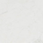 Valentino Bianco 12" x 12" Honed Marble Tile - image 6