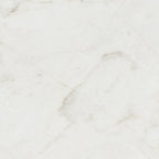Valentino Bianco 12" x 12" Honed Marble Tile - image 7