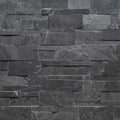 XL Premium Black Ledger Panel - image 1