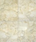 Thunder Beige Polished Porcelain Tile 24x24