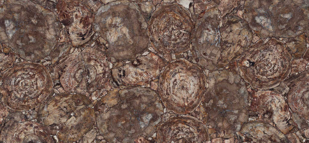 Caesarstone 8330 Petrified Wood