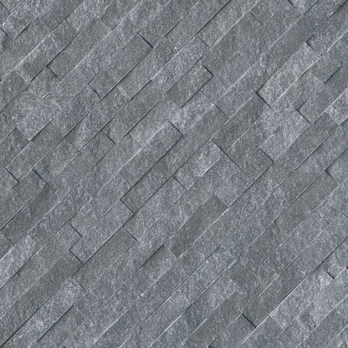 Cosmic Black Ledger Panel