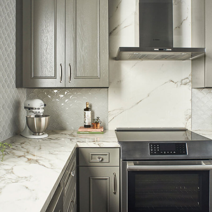 Grey Glossy Fish Scale