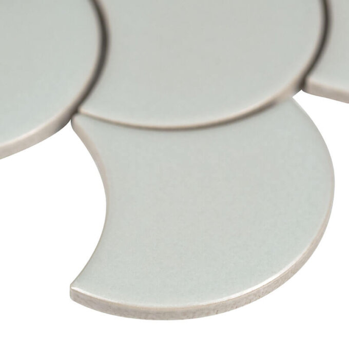 Grey Glossy Fish Scale