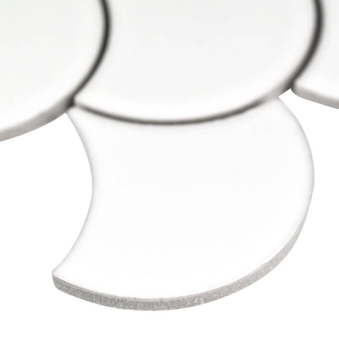 White Glossy Fish Scale