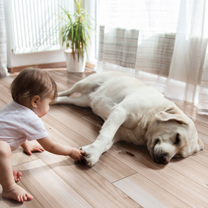 Havenwood Beige 8"x36" Matte Porcelain Tile