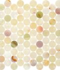 Orchid Onyx 1.25" Penny Round Polished Mosaic